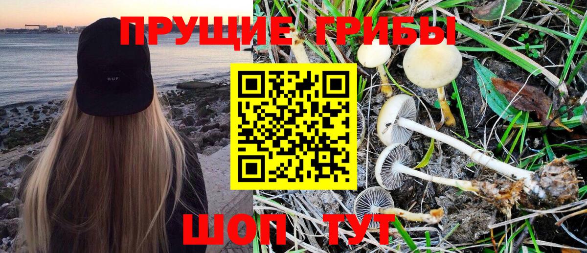 Псилоцибиновые грибы Magic Shrooms  Вход с VPN  Жуковский 